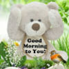 loraine_salmon